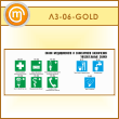 ����� ������ ������������ � ����������� ����������. ������������ ����� (LZ-06-GOLD)